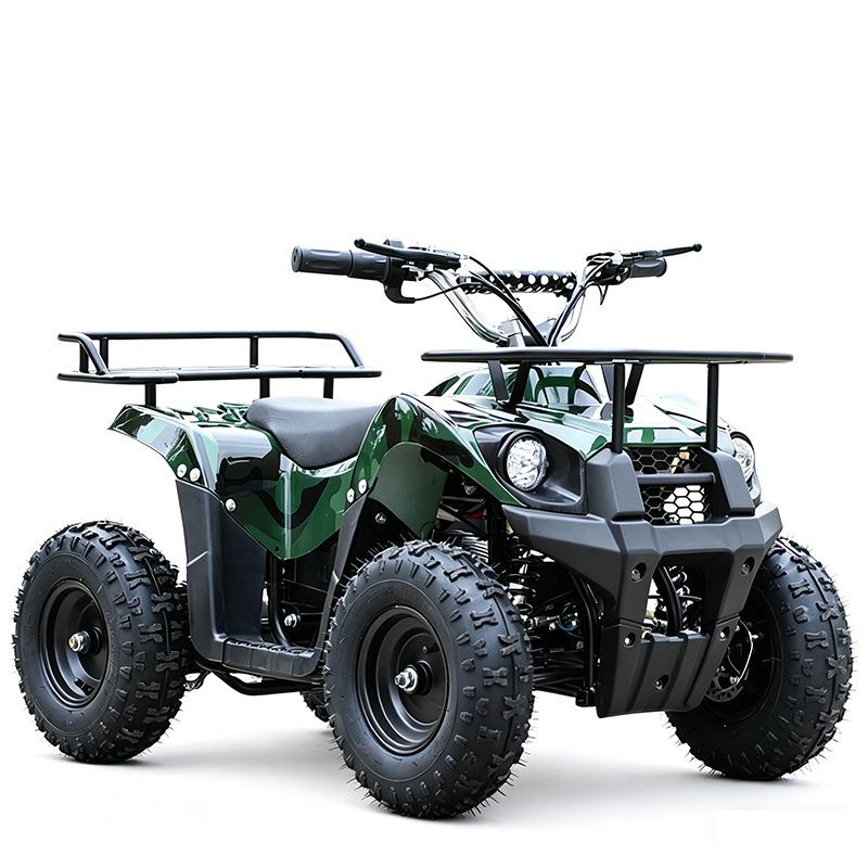 Children's Electric Beach ATV - 36V 800W All-Terrain Off-Road Recreational Vehicle
