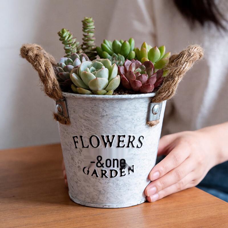 MOJY Retro Iron Flower Pot