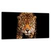 Glass Board Cutting Board 52X30 Cat