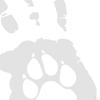 Creative Hand Prints Decal Sticker Decorative Art Decor Waterproof Ornament Paste PVC Print for