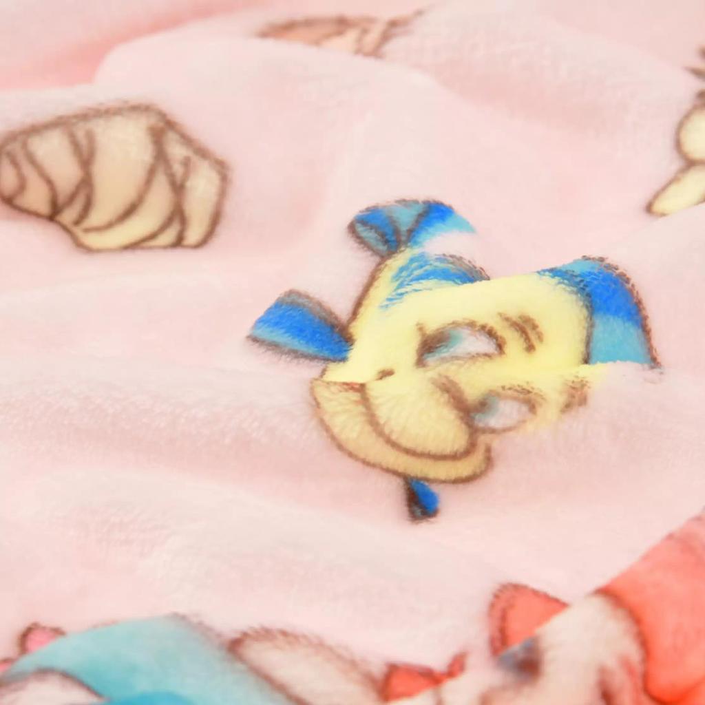 Disney Disney Princesses Kids' Blanket ( ENJOY WINTER ) Japan NEW Disney Store