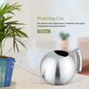 Arrosoir - AIMOONSA - 1000 ml - Acier inoxydable - Bec long semi-ouvert - Poignée confortable