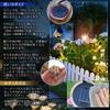 SALUDABLE Solar Light Watering Can Outdoor Garden Light Stylish Home Decor (1 Piece)