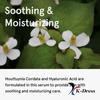 ONETHING Houttuynia Cordata Serum 80ml