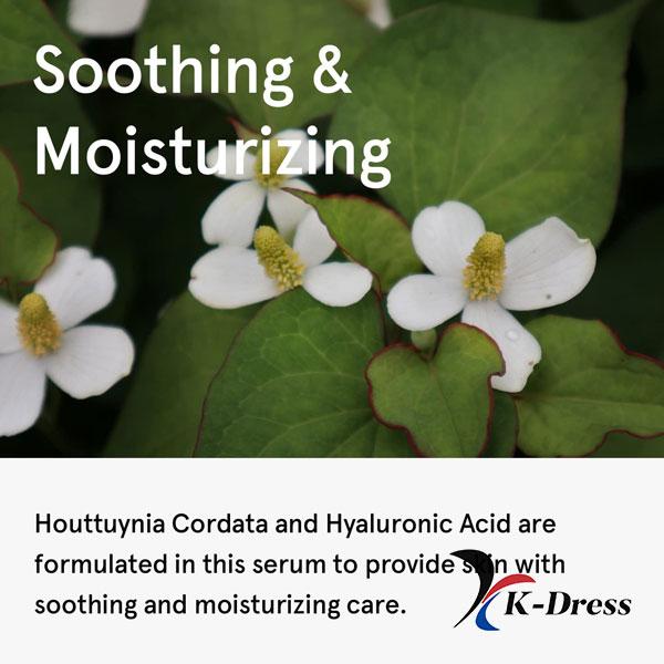 ONETHING Houttuynia Cordata Serum 80ml