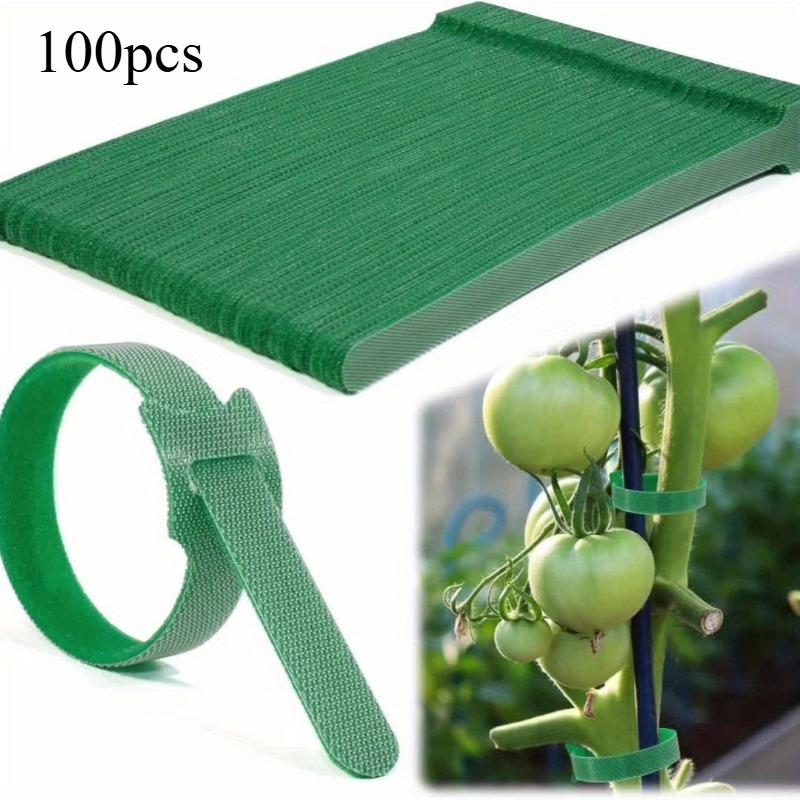 100 Reusable 6-inch non-slip nylon plant ties with Velcro clasp, green, for climbing plants, garden maintenance tool