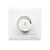 1 Set Elegant white New 220V LED Dimmer Switch Adjustable Brightness Controller Filament Lamp Brightness Controller Dimmer
