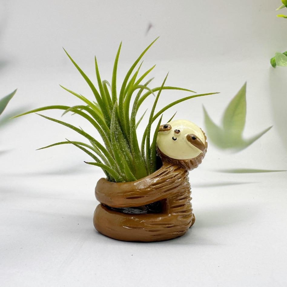 

Подставки для тилландсий Уникальные, Подарки-ленивцы для женщин, Любителей растений, Садоводов, Коллег, Девушек, Милый декор-ленивец для дома, офисного стола коричневый