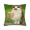 Cat Owl Funny Meowl Cat Meme  Pillow Cover  Soft Cushion Cover Funny Pillow Case For Sofa Couch Bed Living Room