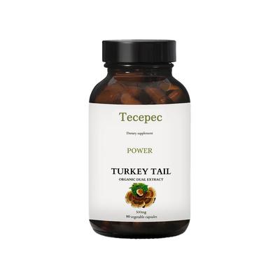 Βιολογικό Εκχύλισμα Turkey Tail 500mg 90 Κάψουλες Συμπλήρωμα Διατροφής