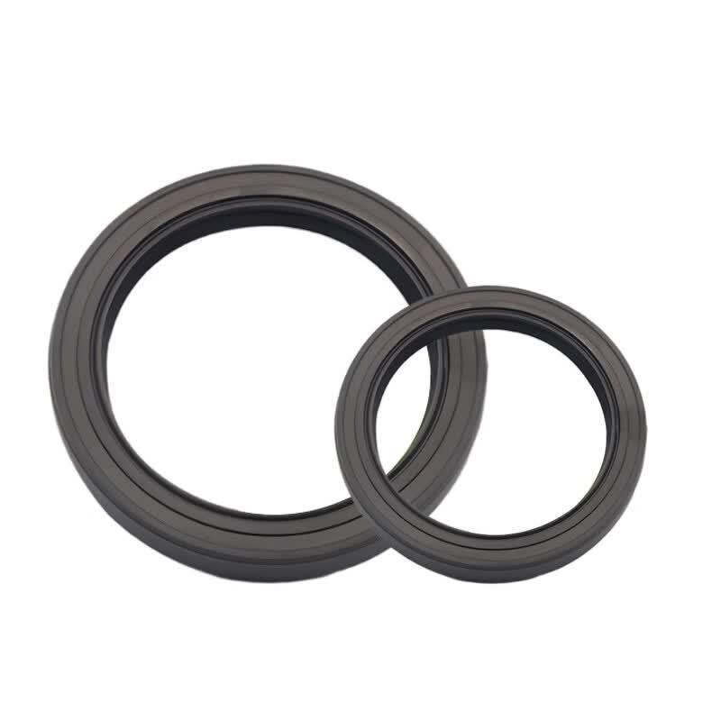 SKF Skeleton Oil Seal