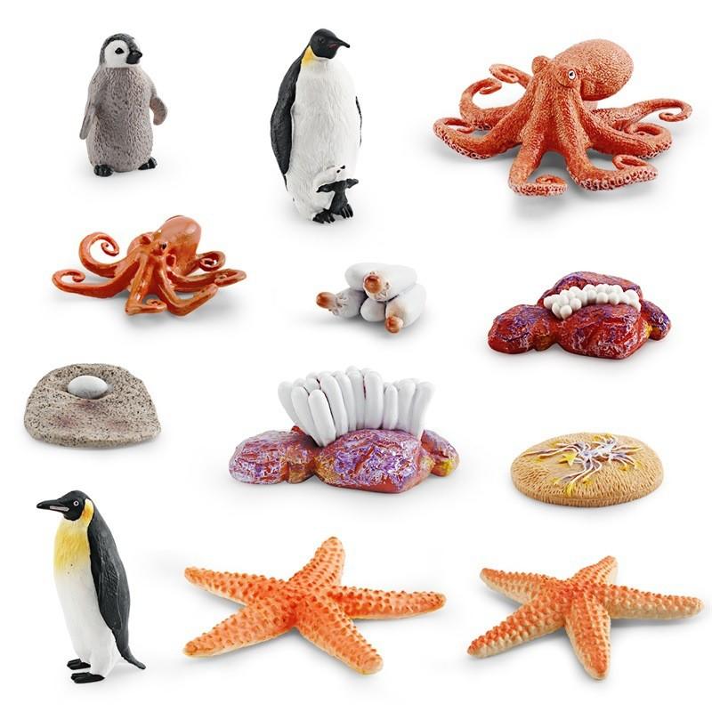 Realistic Ocean Animal Growth Cycle Model Set Featuring Octopus Penguin And Starfish