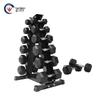 Hex Rubber-Coated Dumbbell