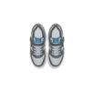 Nike Court Borough Low Casual Lightweight Non-Slip Low-Top Kids Skate Shoes Kids Sneaker Gray Blue 870025-006