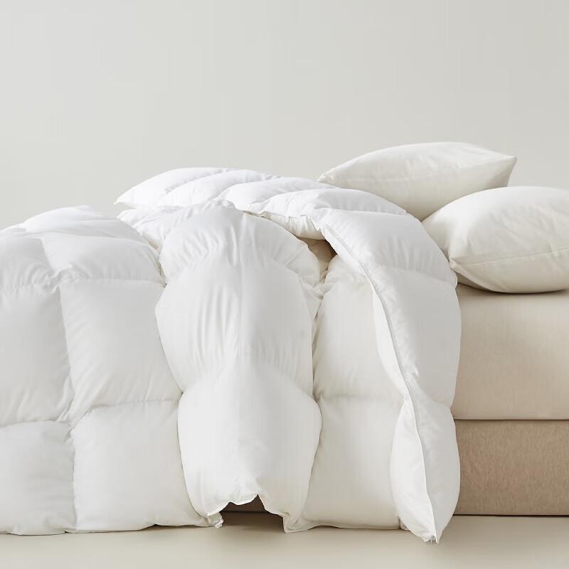 Muji Warm Polyester Duvet
