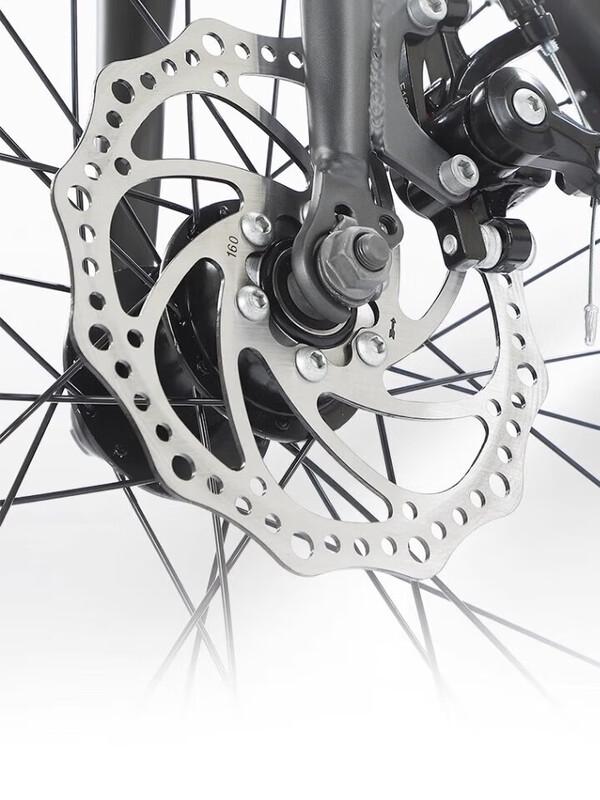 Phoenix ZD01 Folding Bicycle