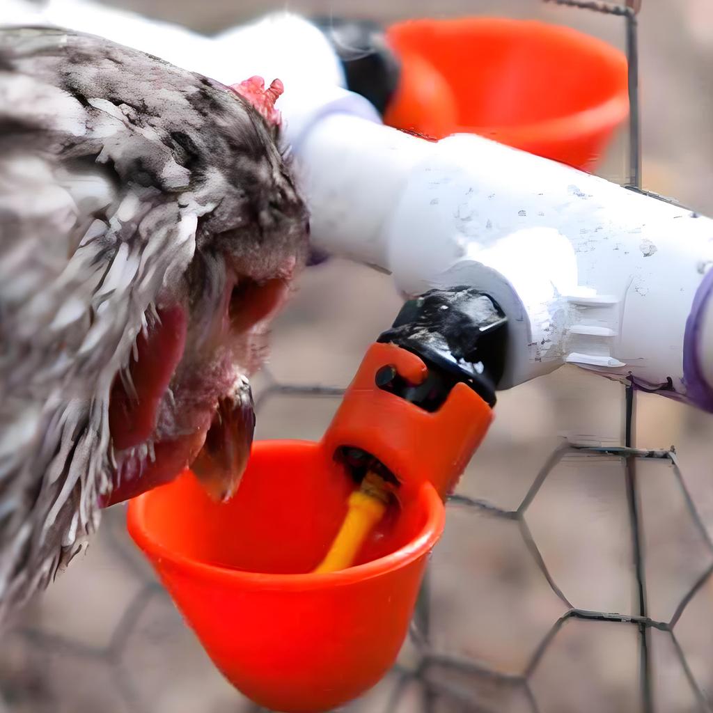 Chicken Cups Automatic Poultry Drinking Bowl Chicken Drinker Farm Animal Feeding Supplies Hanging Drinking Water Dispenser 50Pcs