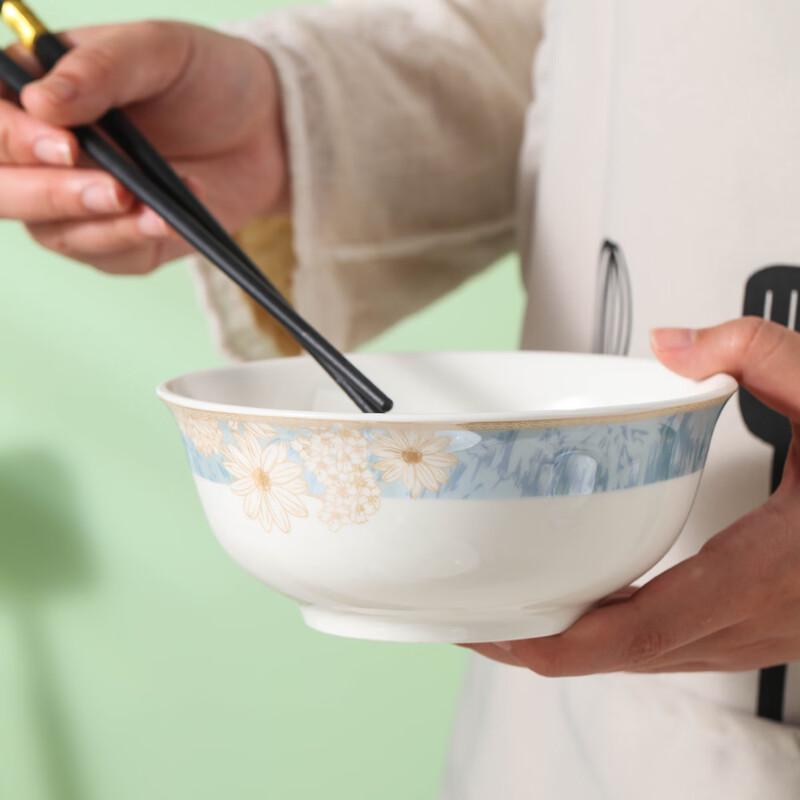 Haoya Jingdezhen Keramik 6-Zoll Nudelsuppenschalen Set mit 6 Stück - Zeitreise-Muster