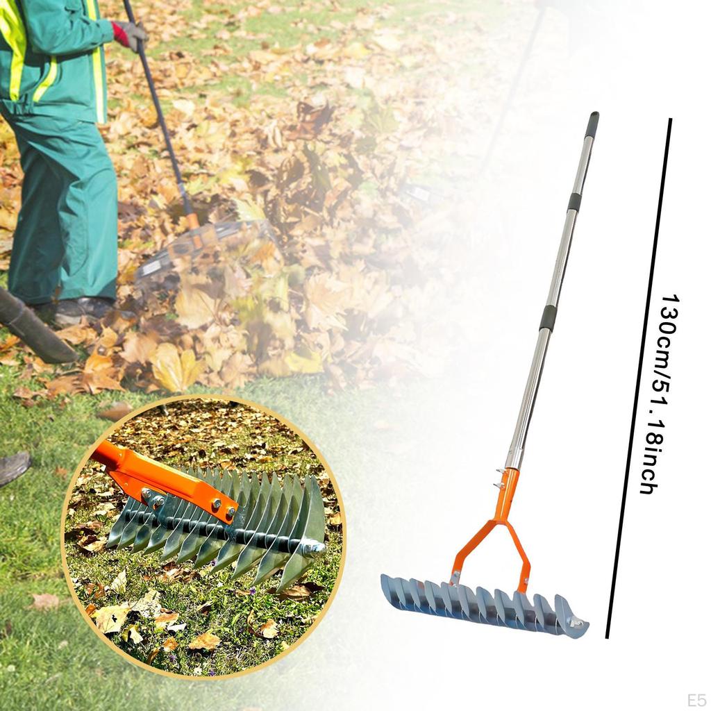 Brushcutter Rake Lawn Care Tool Loosens Soil