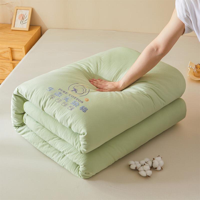 Oeny Thickened Winter Cotton Quilt