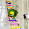 Multicolor Ladder Bridge Budgie Parrot Climbing Bite Toy Parakeet Swing Bird Toy Bird Supplies Handmade
