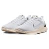 Nike Flex Experience Run 12 White Metallic Silver Women Sneakers Sail Coconut-Milk DV0746-101