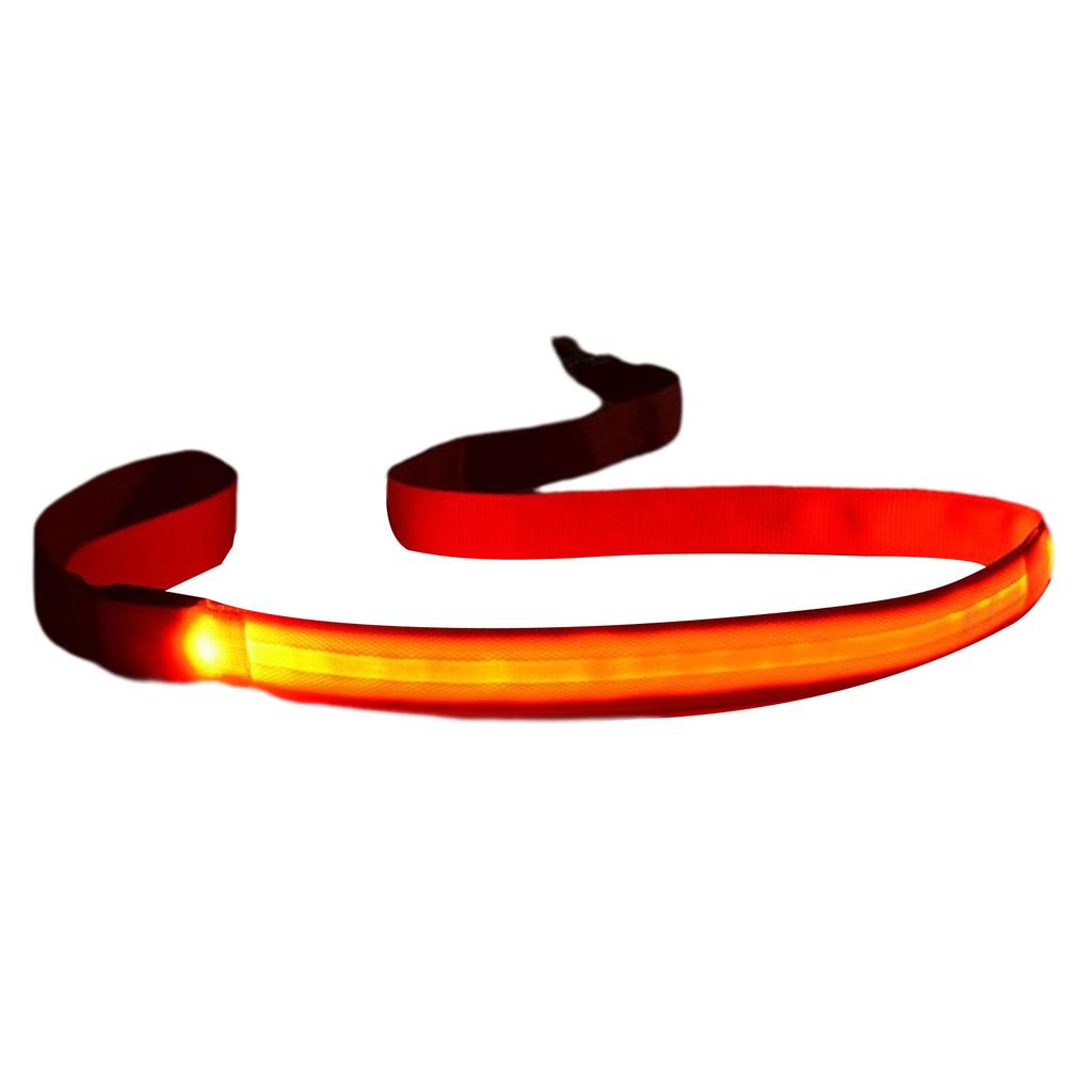 Light Up Pet Leash for All Size Dogs Outdoor Puppy Training Leash Heavyduty LED Pet Lead Leash for Medium Large Breeds