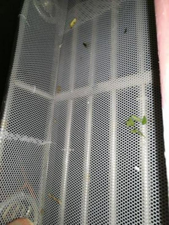 4mm Thick Plastic Mesh Bee Rearing Pad for Flower Stand Protection and Decoration