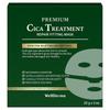 Premium Cica Treatment Repair Fitting Mask Soothing & Skin Recovery Care 25g X6 (3 Sheets X2)