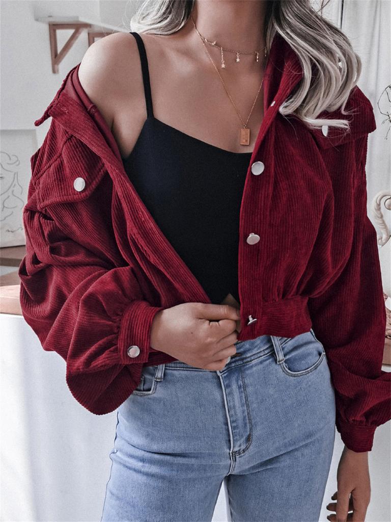 Ins Style Autumn Velvet Long Sleeve Cardigan Jacket for Women