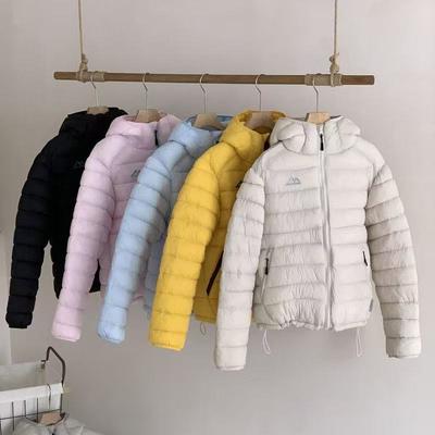 Mode Locker Warme Daunen Baumwolljacke Damen Winter Leicht Kapuzen Koreanischer Stil Mantel