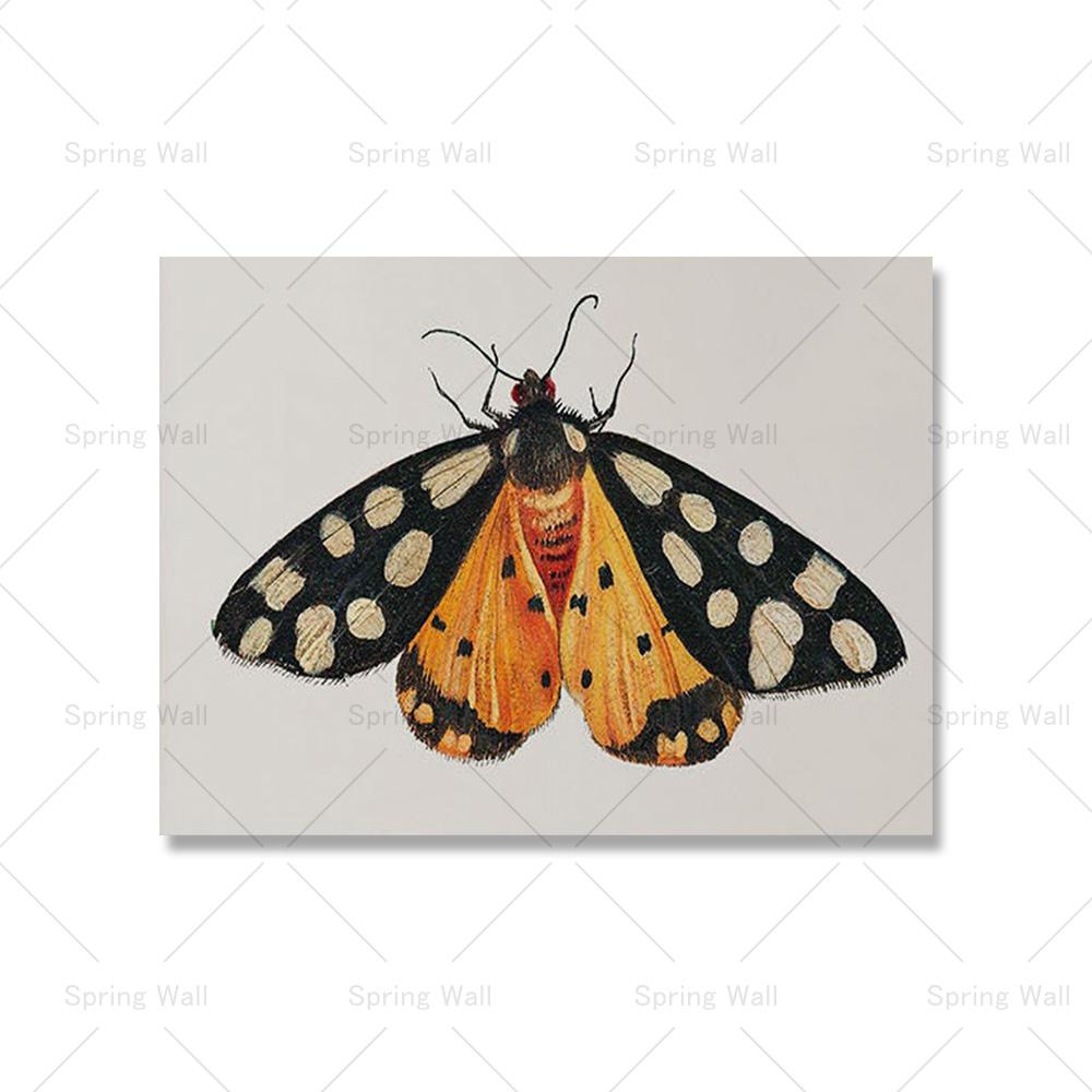 

Ретро Эклектичная Галерея Настенная Картина Максималистские Принты Искусство Холст Картина Тигр Баухаус Выставка Плакат Гостиная Домашний Декор 30x40cm No Framed