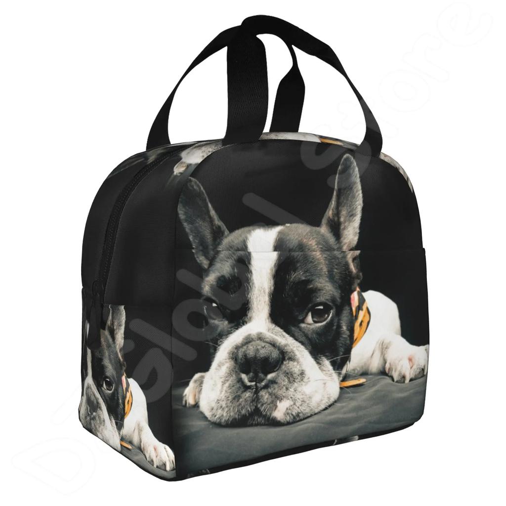 French Bulldogs Dog Insulated Lunch Bag for Women Men and Kids Large and Reusable Handle Freezable Work School Travel Tote Bags
