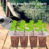 6 Stück Anzuchtschalen 12 Löcher Kunststoff Pflanzensamen Anzuchtbox Gemüse Blume Pflanzentöpfe Anzuchtbox für Garten Außen
