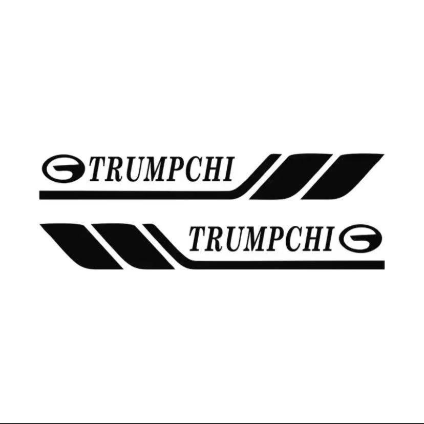 Personalized Car Door Fender Decals - Scratch Cover & Decorative Stickers