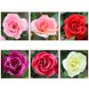 Simulation Flowers Vines Silk Roses Wall Hanging Wedding Decor Artificial Rose Vine Living Room Shopping Mall Decoration Flower
