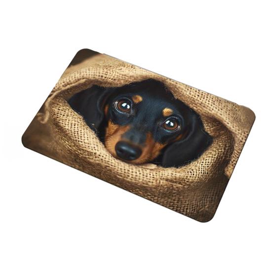 Realistic Animal Floor Mat 3D Optical Illusion Rug Cute Cat Design Entrance Rug Non-slip Dog Doormat for Bathroom Kitchen Living Room Bedroom