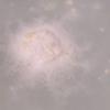 Butterball 95g - Bath Bomb