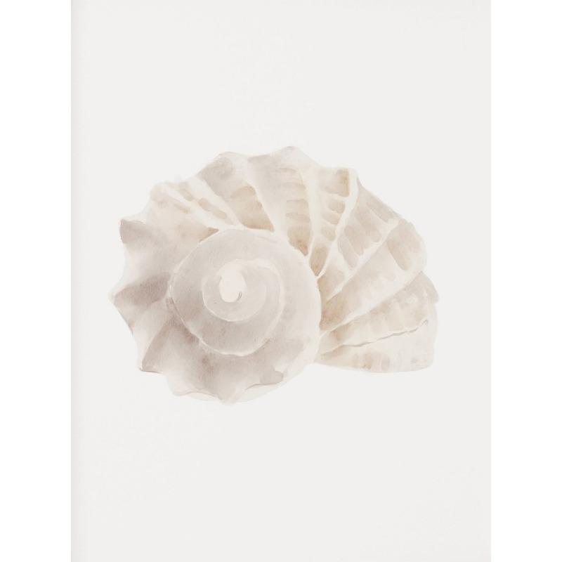 Beach Crab Conch Coral Starfish Shell Sand Watercolor Poster Canvas Printing Coastal Wall Art Picture for Living Room Home Decor