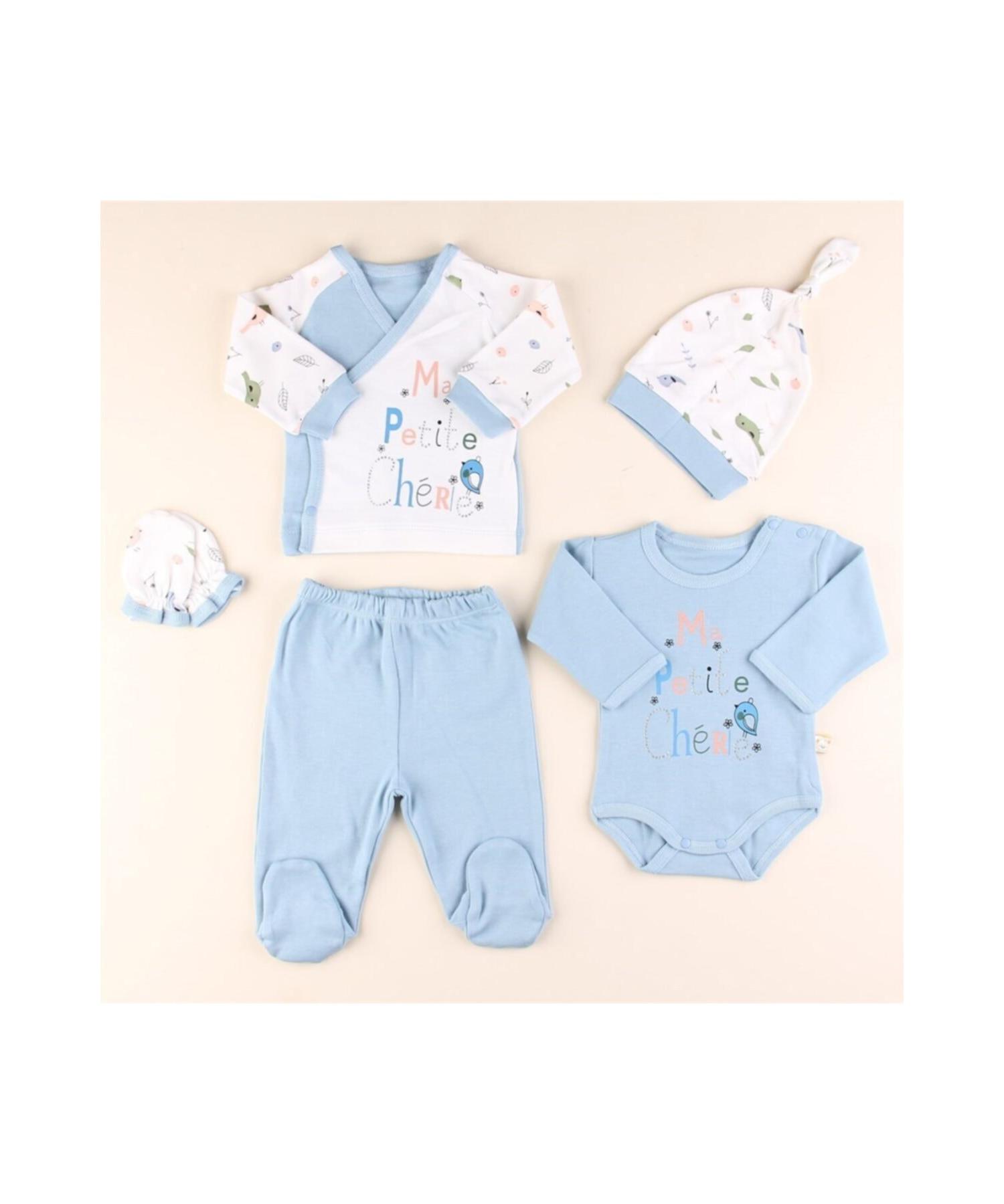 

Набор из 5 штук с птицей и камнем Бади