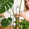 Garden Trellis Metal Vertical Growth Trellis For Plants Vine Support Stakes For Monstera Tomato Flowers Ivy Pots Garden Outdoor