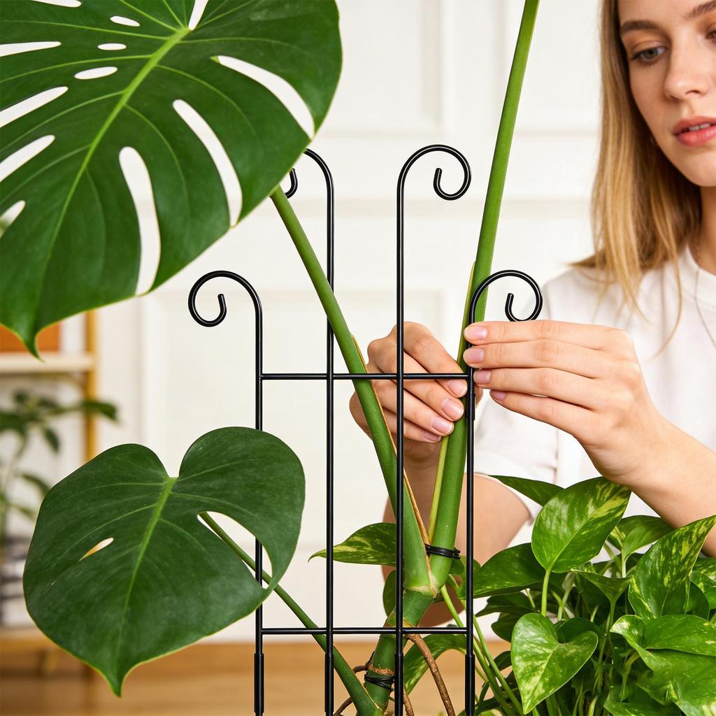 Garden Trellis Metal Vertical Growth Trellis For Plants Vine Support Stakes For Monstera Tomato Flowers Ivy Pots Garden Outdoor