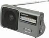 Audio Comm AM/FM Portable Radio RAD-F1691M