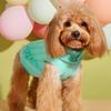 Two-foot Casual Elastic Color Multi- Full Cable Knit Comfortable Teddy Bichon Dog Sweater