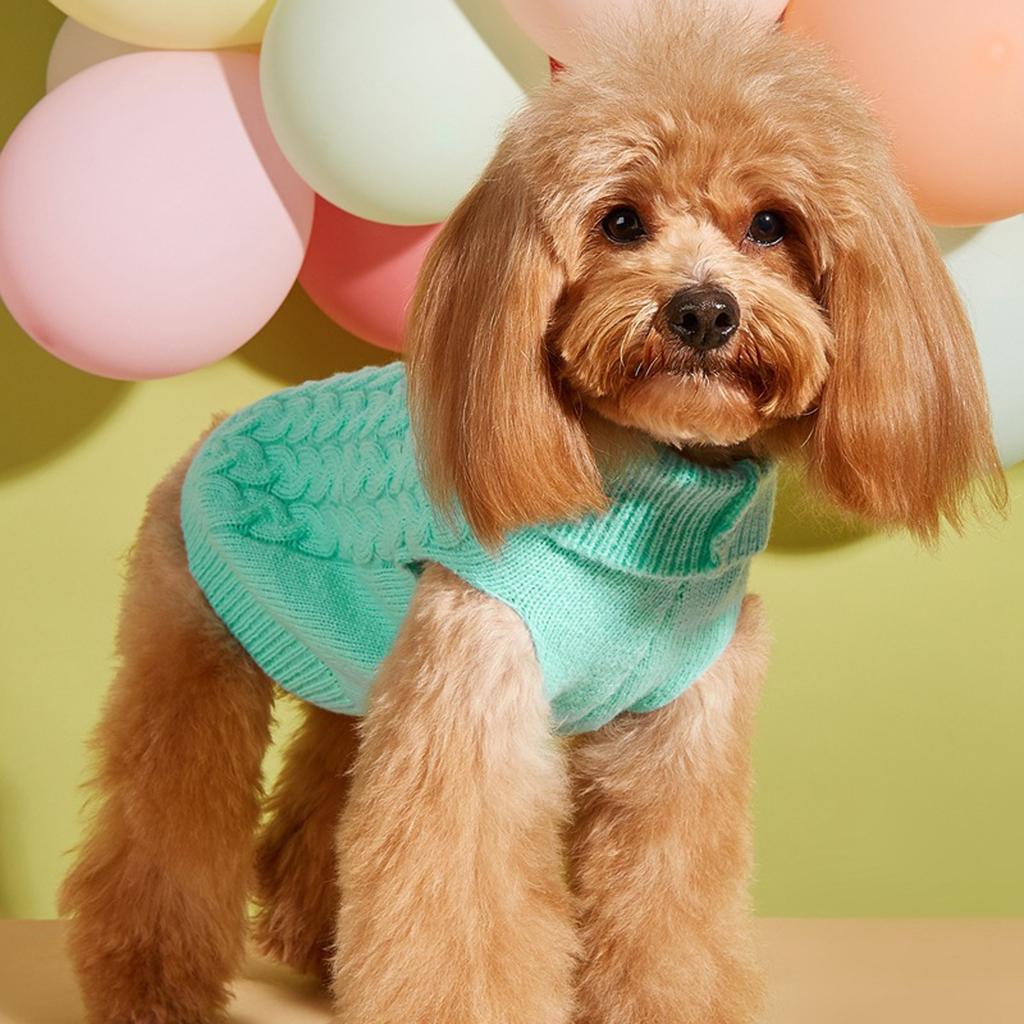 Two-foot Casual Elastic Color Multi- Full Cable Knit Comfortable Teddy Bichon Dog Sweater