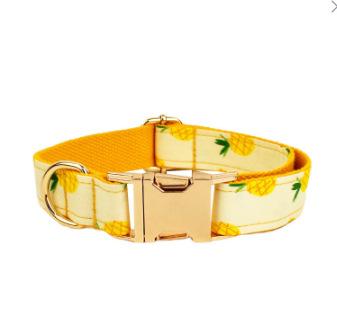 dog collar pet collar leash dog leash dog leash dog leash XS