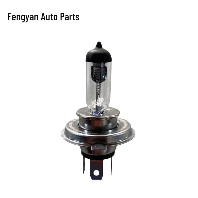 24V 100W H4 Headlight Bulbs (2-Pack)