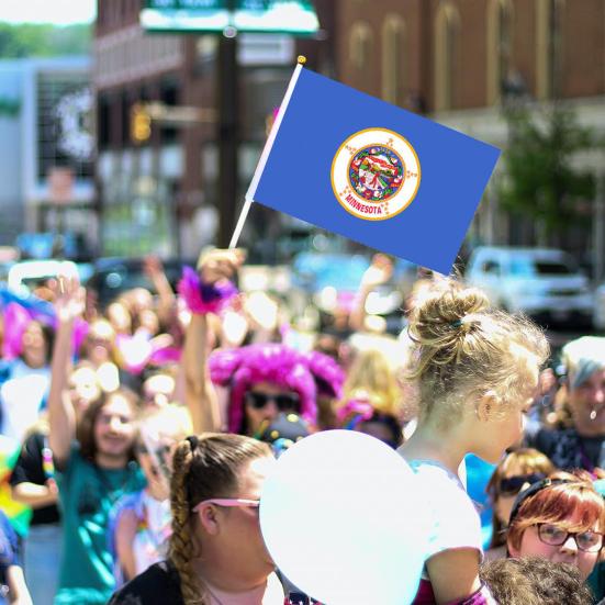 

10 шт. флаг штата Миннесота 14x21 см, полиэстер, яркий цвет, двойная строчка по краю, легкие палочки для ручного размахивания