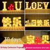 LED Letter Lights: Surprise Birthday, Proposal & Party Decoration