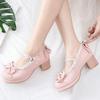 Women Kawaii Mid Block Heel Mary Jane Rockabilly Pumps with Bow Platform Chunky Heel Cute Sweet Shoes